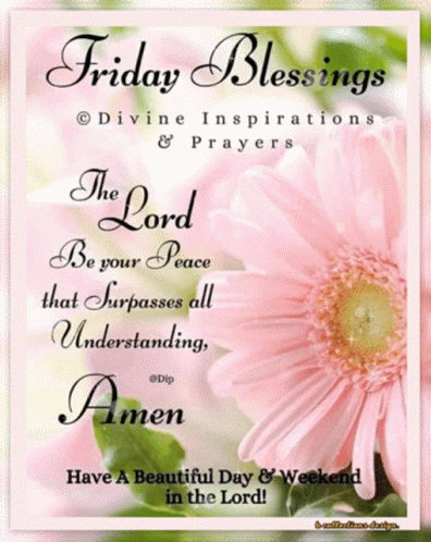 Pink Flower Blessed Friday GIF