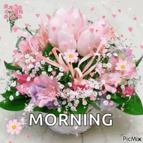 Pink Flower Bouquet Morning GIF