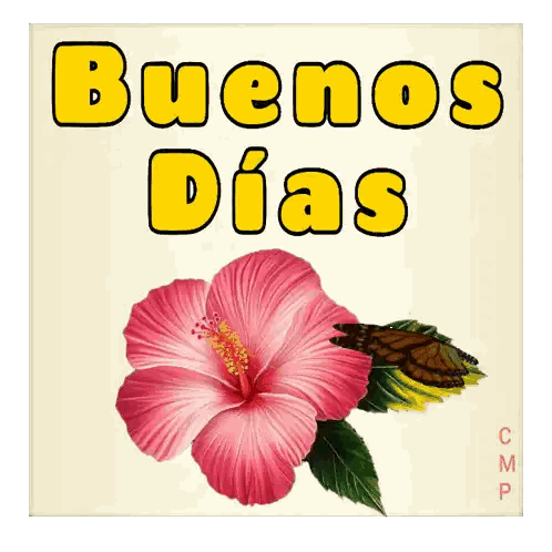 Pink Flower Buenos Dias