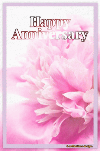 Pink Flower Happy Anniversary GIF