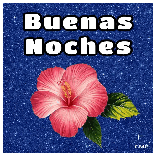 Pink Flower on Blue Background Buenas Noches