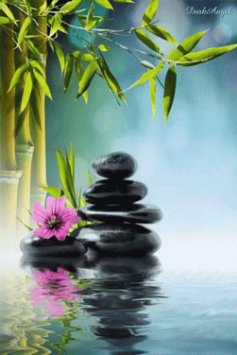 Pink Flower on Rocks in Water with Bamboo