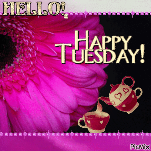 Pink Flower Saying Hello Happy Tuesday