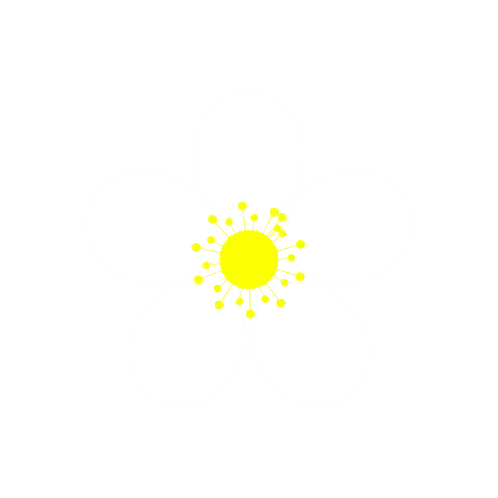 Pink Flower with Yellow Center