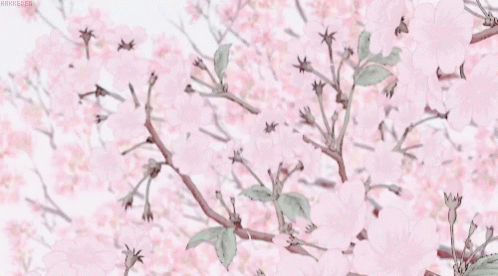 Pink Flowers GIF