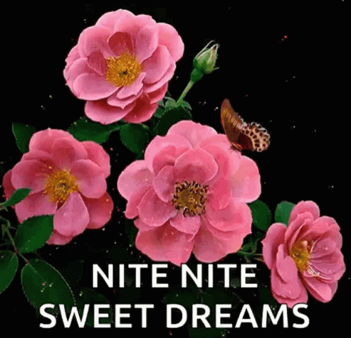 Pink Flowers Butterfly Nite Nite Sweet Dreams GIF