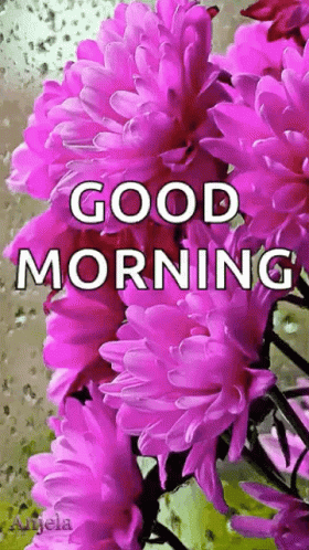 Pink Flowers Good Morning GIF