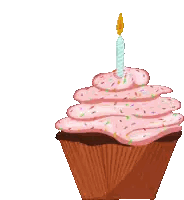Pink Frosting Birthday Cupcake with Candle