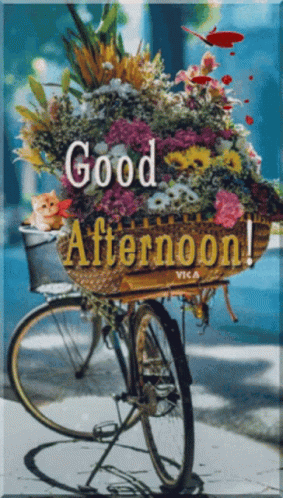 Pink Gift Box on Wooden Floor Saying Hope All Is Well Happy Wednesday