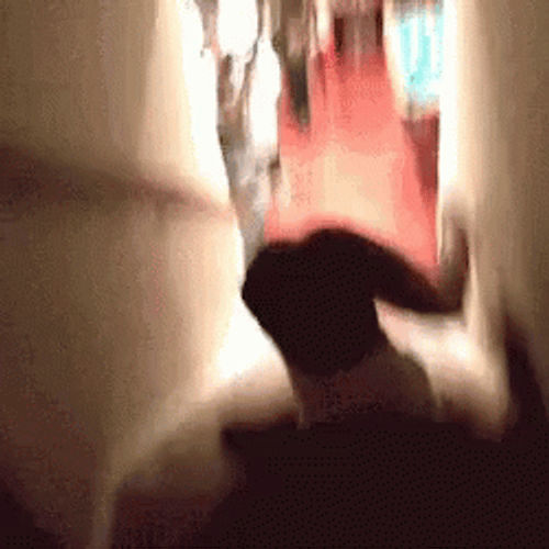 Pink Hair Girl Tripped Falling Down Stairs GIF