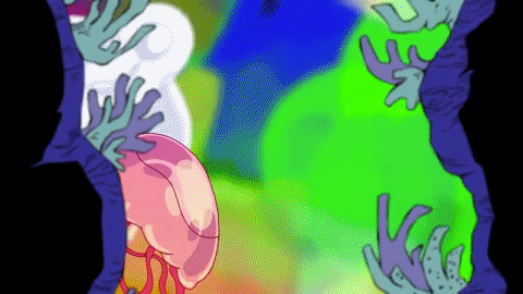 Pink Jellyfish Moving GIF