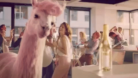 Pink Llama Partying GIF