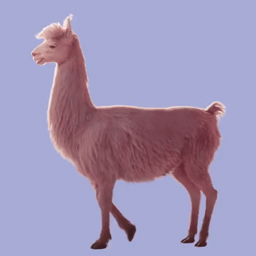Pink Llama Running  GIF
