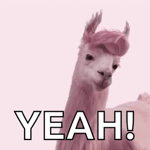 Pink Llama Yeah GIF