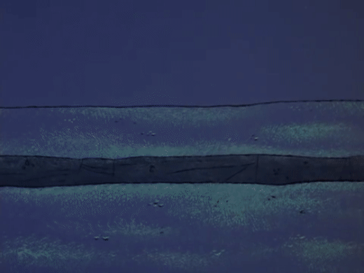 Pink Panther Blocking Caterpillar GIF