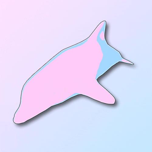 Дельфин единорог. Розовые дельфины. Розовые дельфины стикер. Единорог Дельфинчик рисунок.