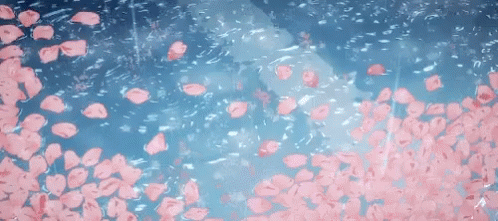 Pink Petals Falling into Water