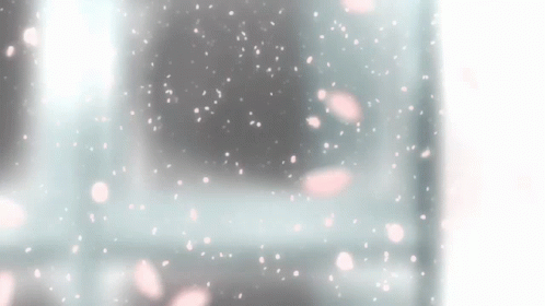 Pink Petals Falling On A White Surface GIF