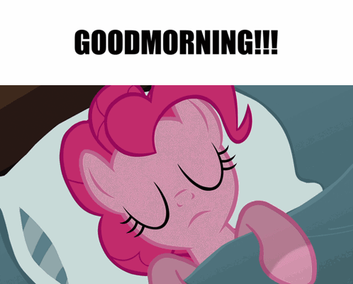 Pink Pony Sleeping in Bed Good Morning