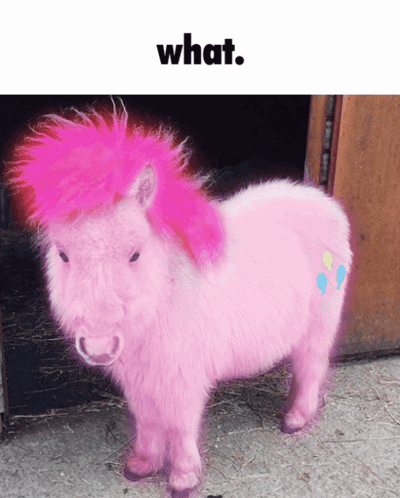 Pink Pony Standing in Front of Door Saying What