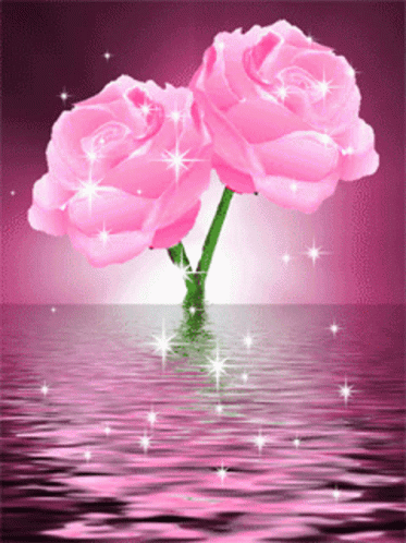 Pink Rosas In The Ocean GIF