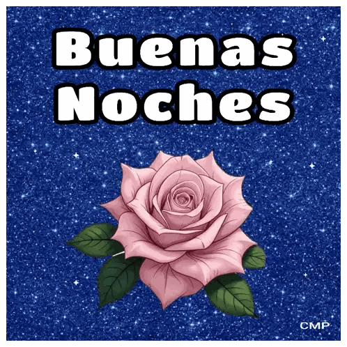 Pink Rose Buenas Noches
