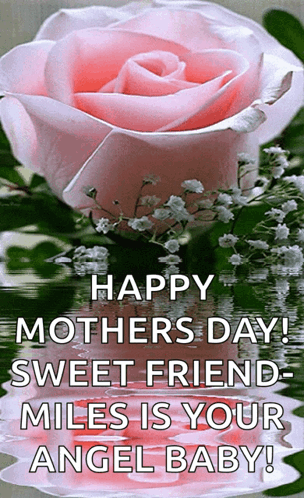 Pink Rose Happy Mothers Day