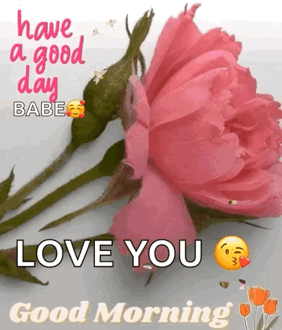 Pink Rose Have A Good Day Babe Love You Good Morning GIF