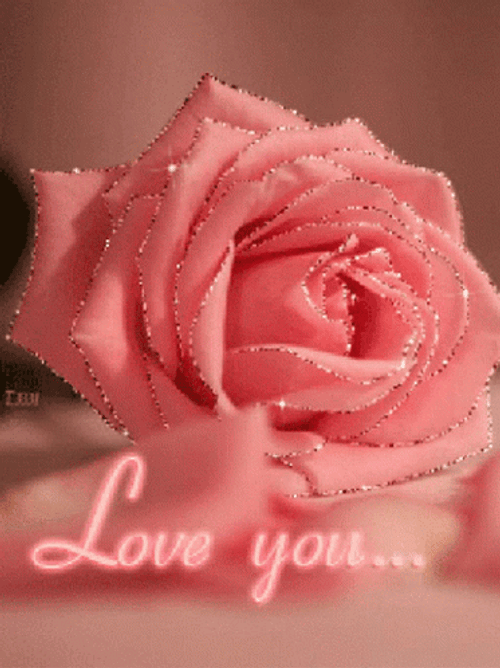 Pink Rose Love You GIF