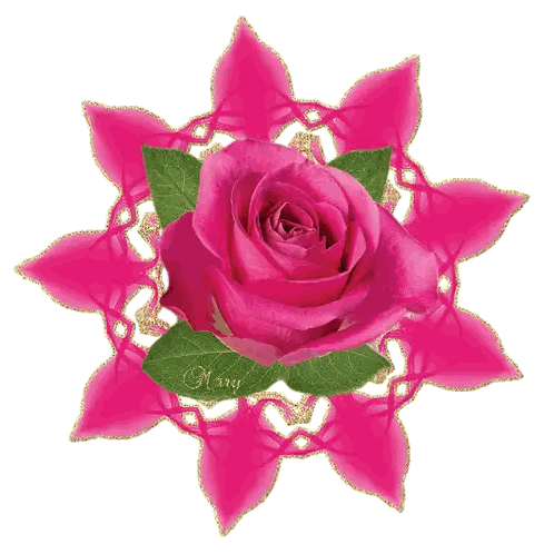 Pink Rose Surrounded by Petals and Leaves
