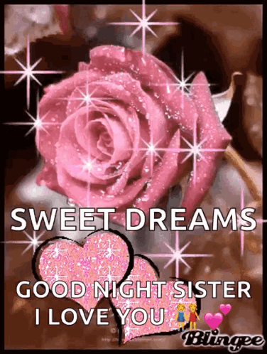 Pink Rose Sweet Dreams Good Night Sister I Love You GIF