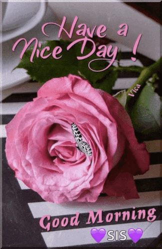 Pink Rose With Butterfly And Have A Nice Day GIF