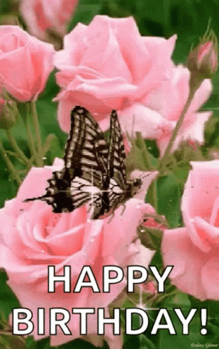 Pink Rose With Butterfly GIF