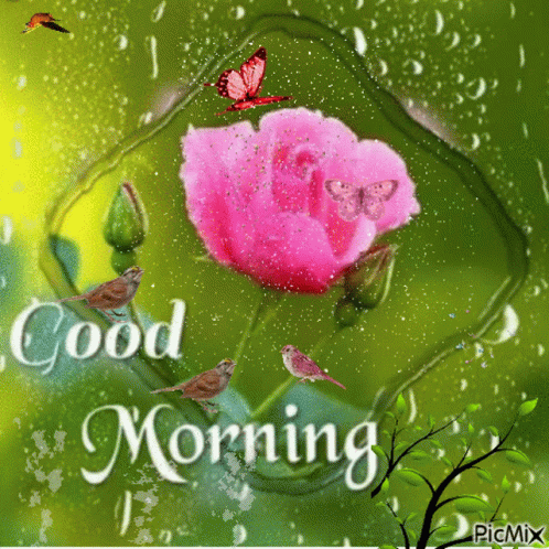 Pink Rose with Good Morning