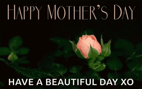 Pink Rose With Happy Mother's Day GIF