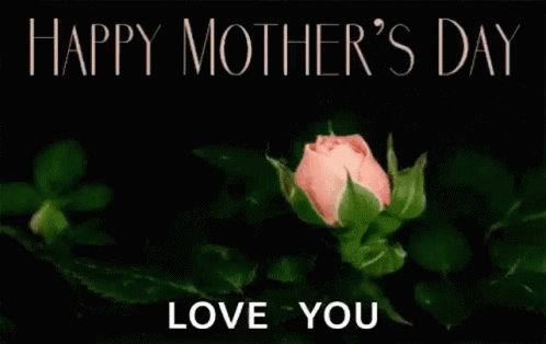 Pink Rose With Happy Mother's Day Love You
