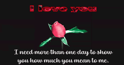 Pink Rose with I Love You