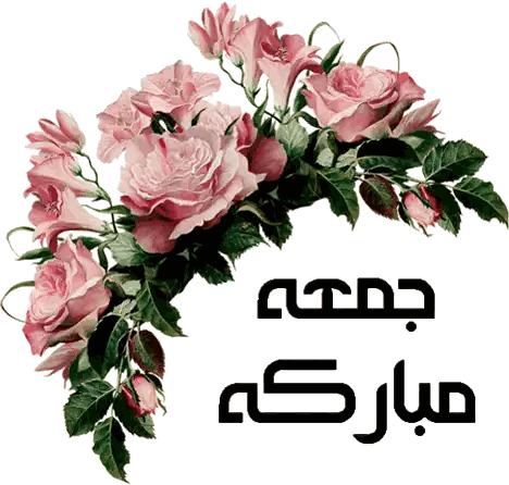 Pink Roses Bouquet Jumma Mubarak