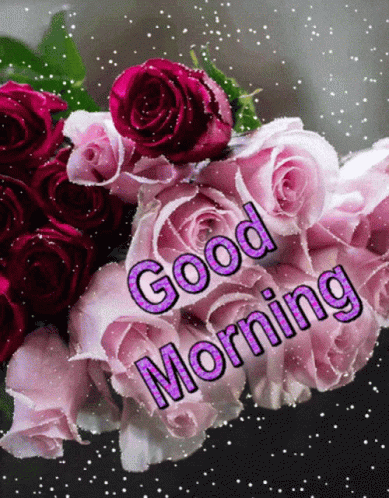Pink Roses Bouquet Saying Good Morning