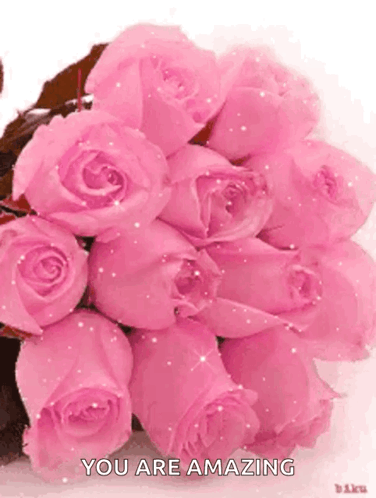Pink Roses Bouquet You Are Amazing