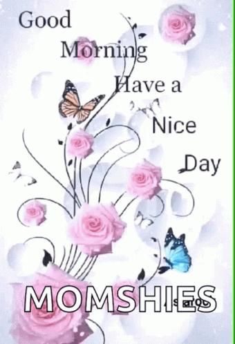 Pink Roses Butterflies Good Morning Momshies