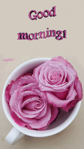 Pink Roses Cup Saying Good Morning