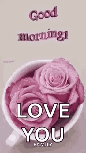 Pink Roses Cup With Good Morning Love