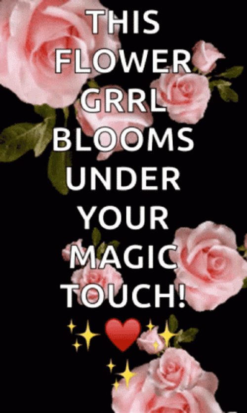 Pink Roses Flower Blooming GIF