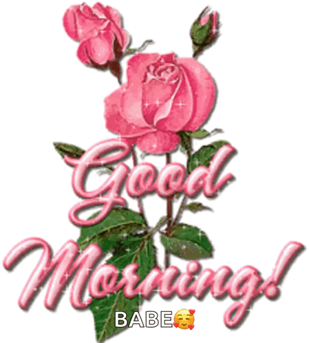 Pink Roses Good Morning Babe GIF