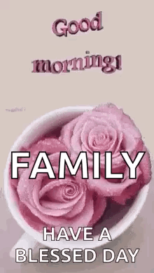Pink Roses Good Morning Family Blessed Day GIF