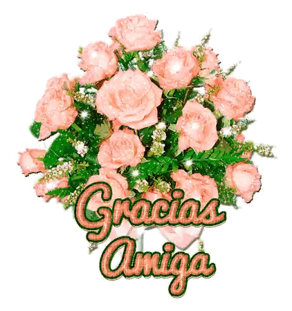 Pink Roses Gracias Amiga