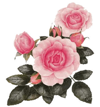 Pink Roses with Black Leaves