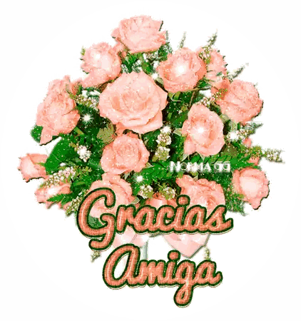 Pink Roses With Gracias Amiga