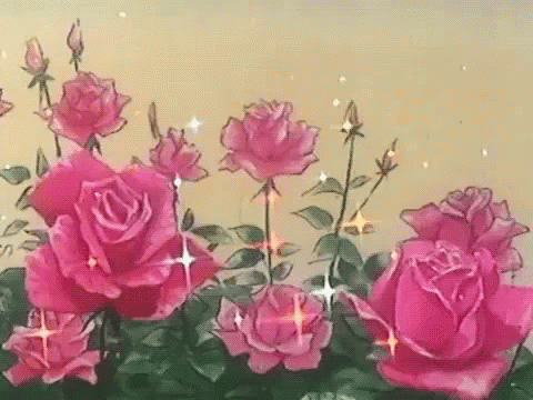 Pink Roses with Green Leaves in Garden